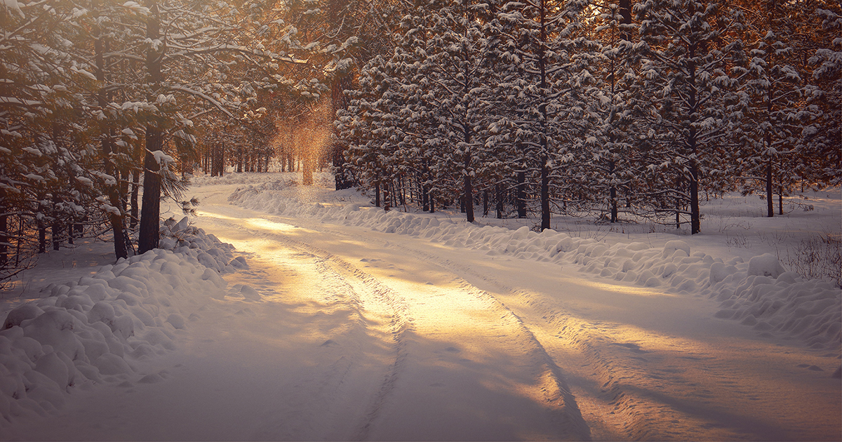 winter.jpg