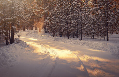 winter.jpg