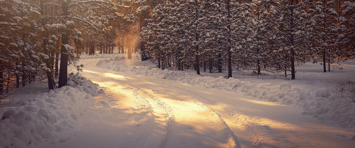 winter.jpg